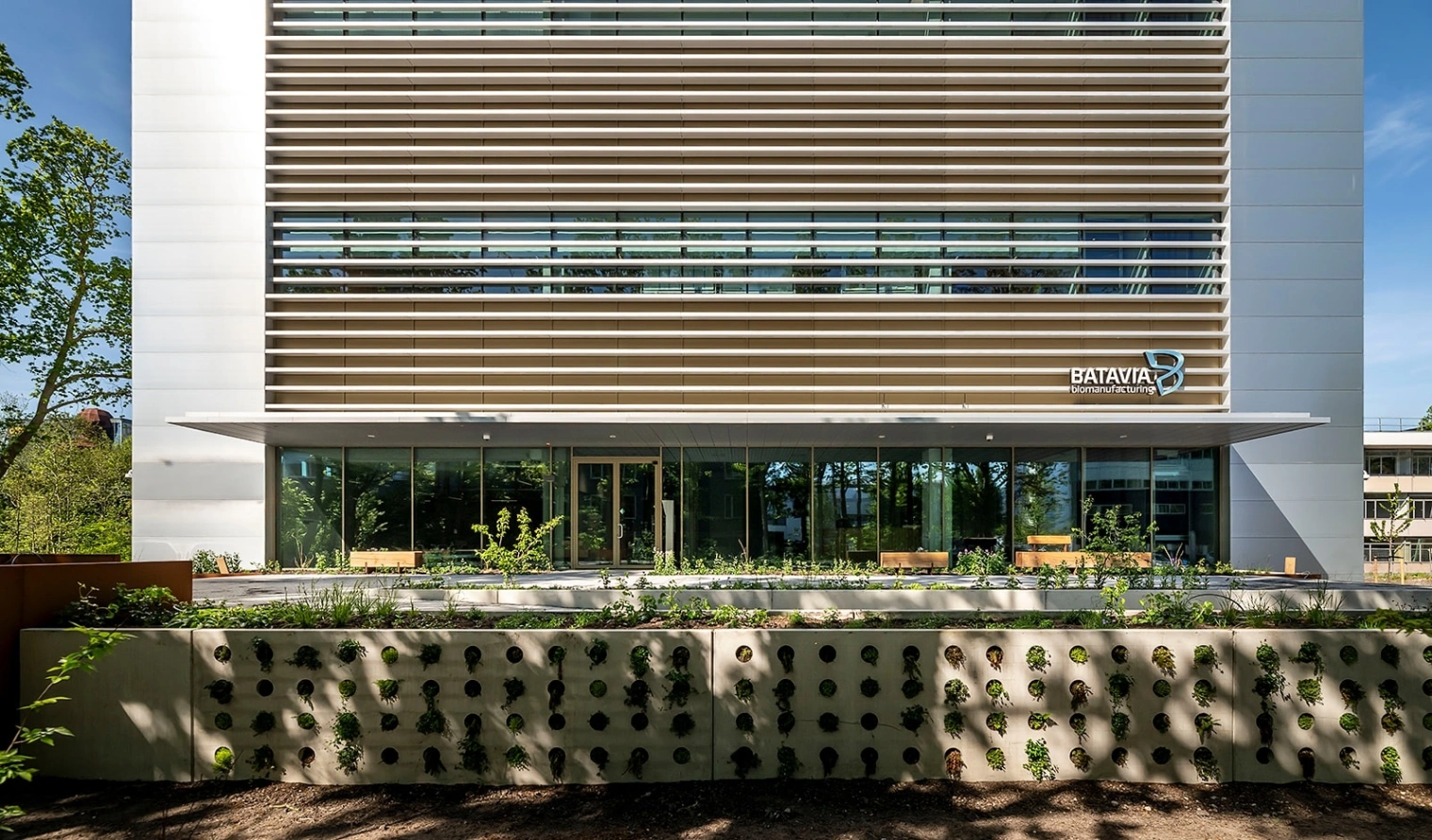 DVV Batavia Leiden 6685