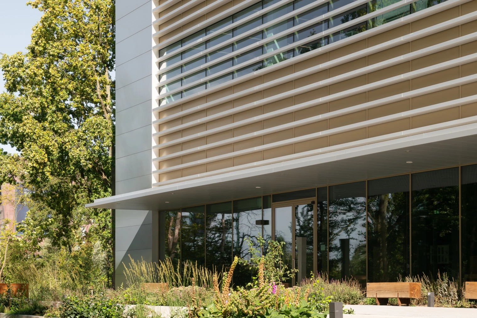 Low res Aiste Rakauskaite 7