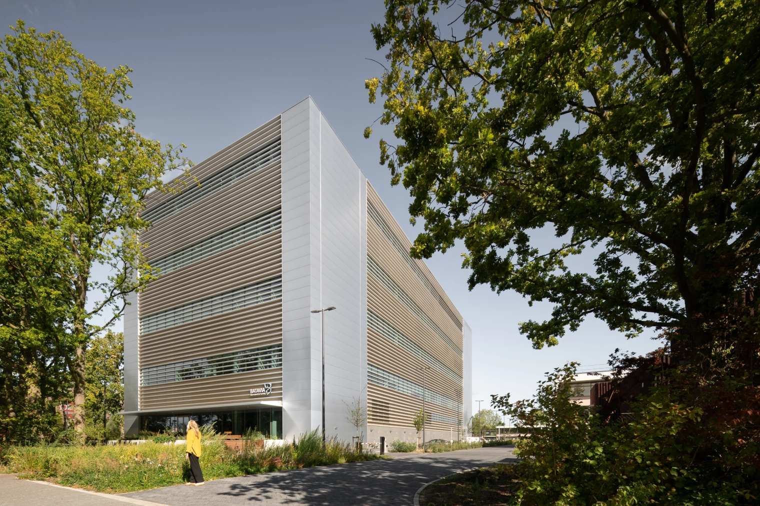 Low res Aiste Rakauskaite 8