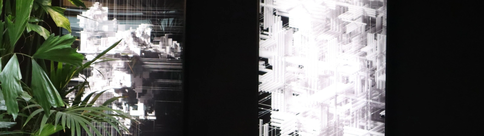 Image00004 Banner II